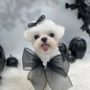 하떼하떼 이미지