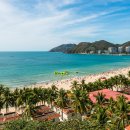 CW-2008-01 이미지