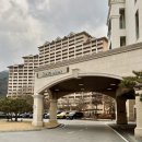 포미펫샵 | 강아지 동반 리조트 홍천 소노펫 스위트룸 후기