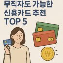 무직자도 가능한 2025년 신용카드 추천 BEST 5 총정리 💳