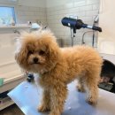 홍글몽글 이미지