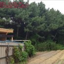 삼현보건진료소 이미지