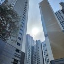 유림-1146 이미지