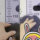 키앤정 내돈내산 부작용 효과 복용법 후기