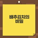 한국 전통 발효식품 배추김치