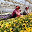 해남군-03 이미지