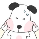 행복한 멍이세상 이미지