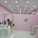 J애견미용 이미지