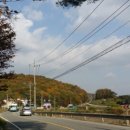 호텔카리브 이미지