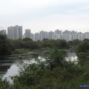 월평공원 습지길 이미지