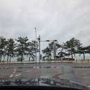 강동몽돌해변 이미지