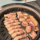 헬스달리아 부산 기장점 이미지