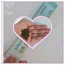 피피이코리아(PPEKOREA) | 변비 직방? 불편함을 편안함으로 바꿔주는?딥톡플러스?