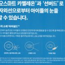 아이트랜드 안경 · 렌즈아이 네이버블로그