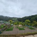 청주 캠핑장 추천, 청주 낭추골캠핑장으로 가족 캠핑 계획하세요