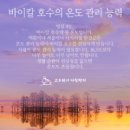 바이칼의아침 이미지
