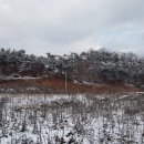 지중해타운