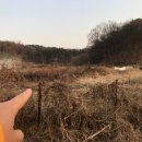 라온하우징 이미지