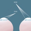 피카소안경 이미지
