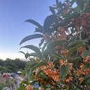 숲속에놀이터민박 이미지