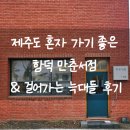 만춘 - 과천시 | 제주도 혼자 여행 코스 함덕 가볼만한곳 만춘서점 & 걸어가는늑대들 후기
