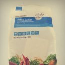 개 키우는 언니 이미지