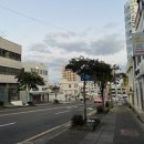 진아식당 | 3박4일 12월의 제주도 여행 4일차<진아식당 / 동진식당 / 제주국제공항면세점 JDC>