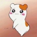 뽑기도전 이미지