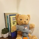 매일 가고 싶은 아늑한 디저트카페 추천 수원 인계동 카페따돗 🐿 내돈내산 후기
