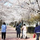 율하광장 반계공원 이미지