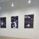 어오케이커피 모라벤처타워점 이미지