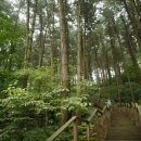 잣향기푸른마을 이미지