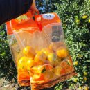 민서농장 이미지