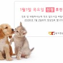 북아현동물병원 이미지