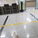 10월 신혼일기 신혼밥상 홈브런치 알로카시아키우기 제주눈썹반영구