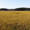 수원-2033 이미지