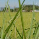 세종우리요양원 이미지