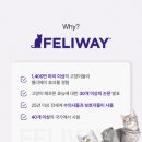 해피웨이