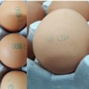 금지농장 이미지