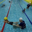 스위밍 키즈(화정점) 이미지