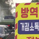 화성양돈 이미지