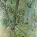 대왕판교로645번길 | 판교 아이랑 실내 환경생태학습원 솔직후기