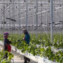 (주)팜텍 이미지