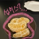 [일산 밤리단길] 노노스탄테:달달한 디저트와인과 가볍게 즐기기 좋은 수제 초콜릿, 발렌타인 데이트 추천