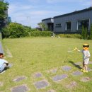 옹진농업협동조합 북도지점 이미지