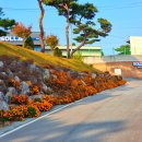 솔랩 주식회사 이미지