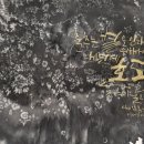 소금무늬신