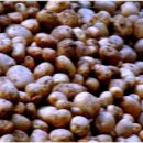 경호민박 이미지