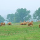 황산목장 이미지