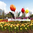 고양화전18 이미지